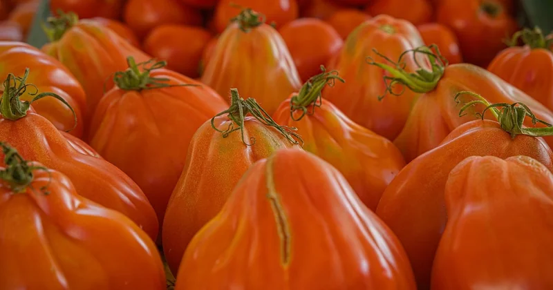 Les raisons qui motivent le choix du bio local