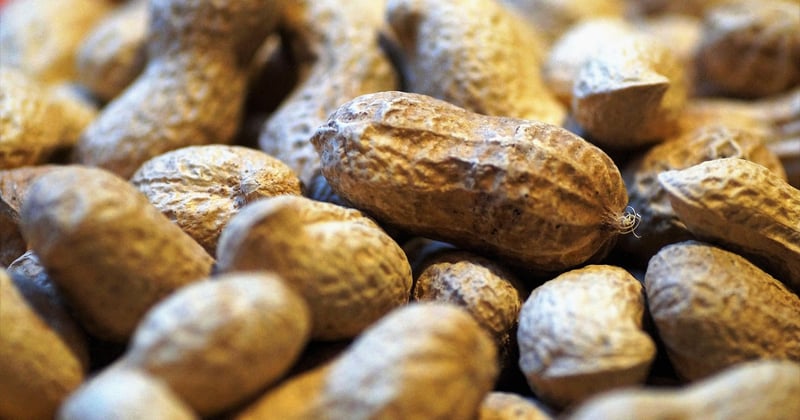 Allergies environnementales : causes cachées et solutions naturelles qui marchent