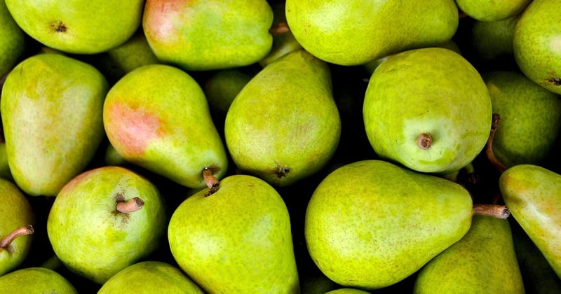 Batch cooking écologique : 15 recettes faciles avec les produits du marché fermier